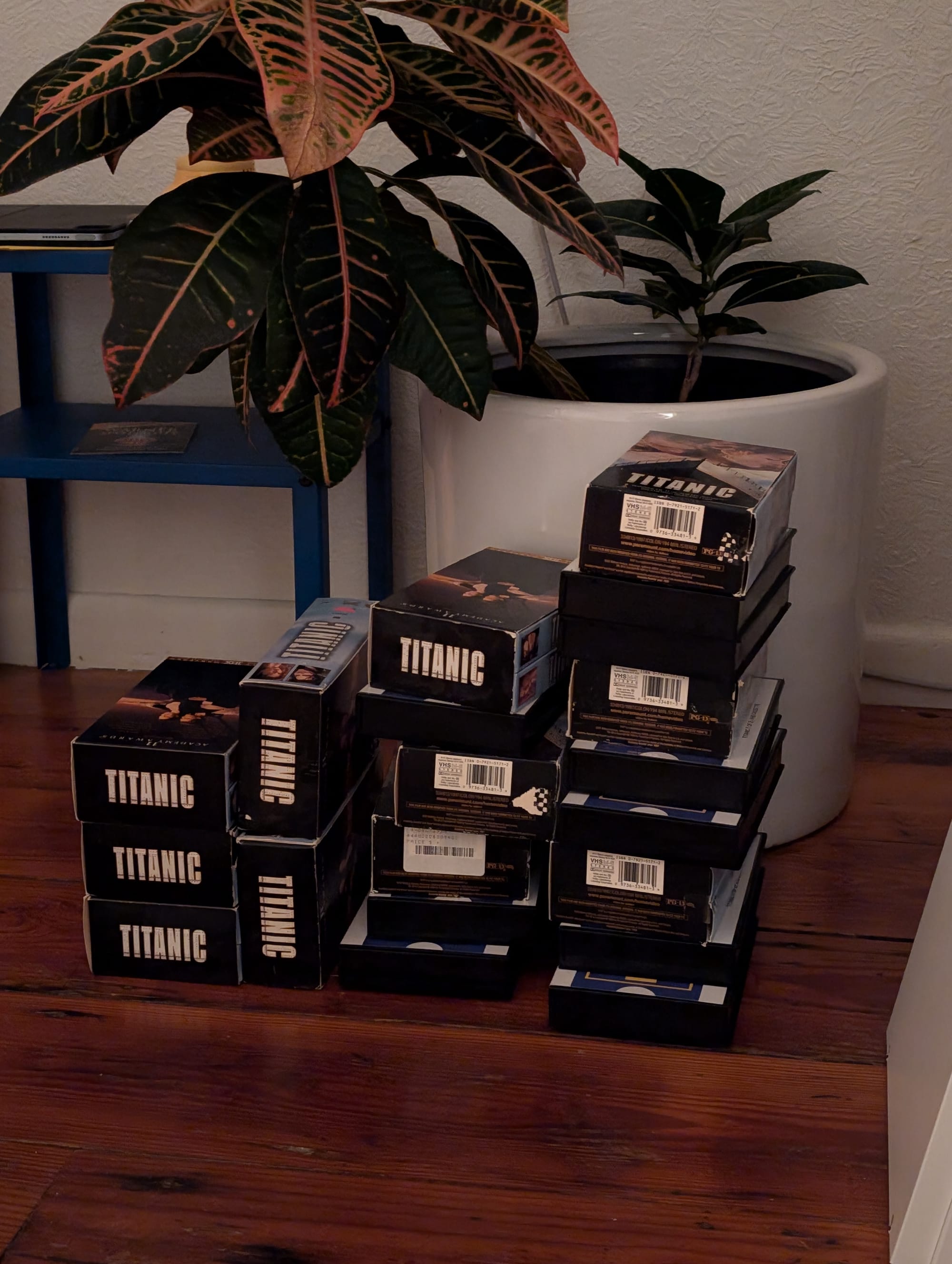 The shelves stocked with VHS tapes — including an alarming number of Titanic copies
